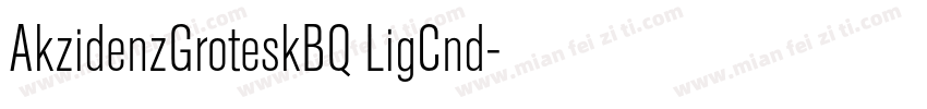 AkzidenzGroteskBQ LigCnd字体转换
